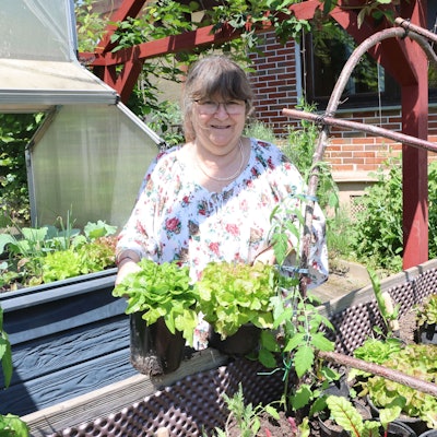 Christa Budde-Hielscher zieht ihren eigenen Salat in einem Hochbeet.