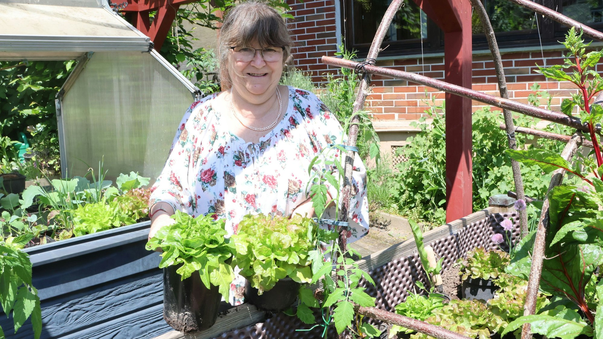Christa Budde-Hielscher zieht ihren eigenen Salat in einem Hochbeet.