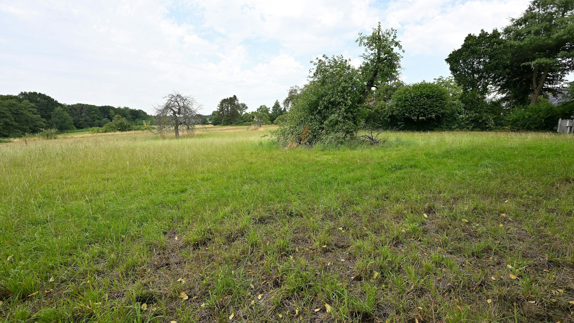 Geplantes Baugebiet hinter dem Altvolberger Hof.