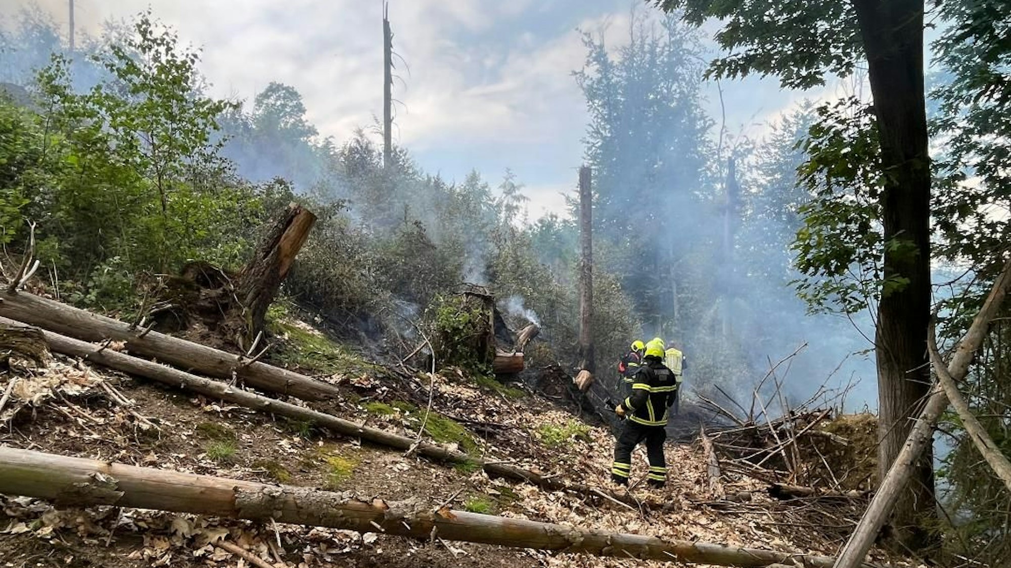 Feuerwehrleute bei einem Waldbrand.