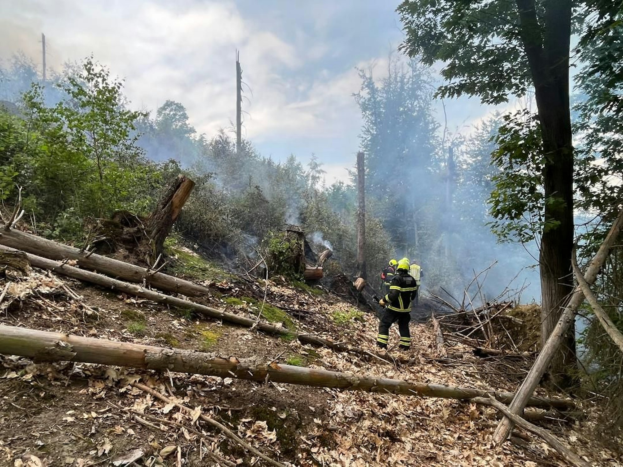 Waldbrand 2023 in Eitorf (Archivbild).