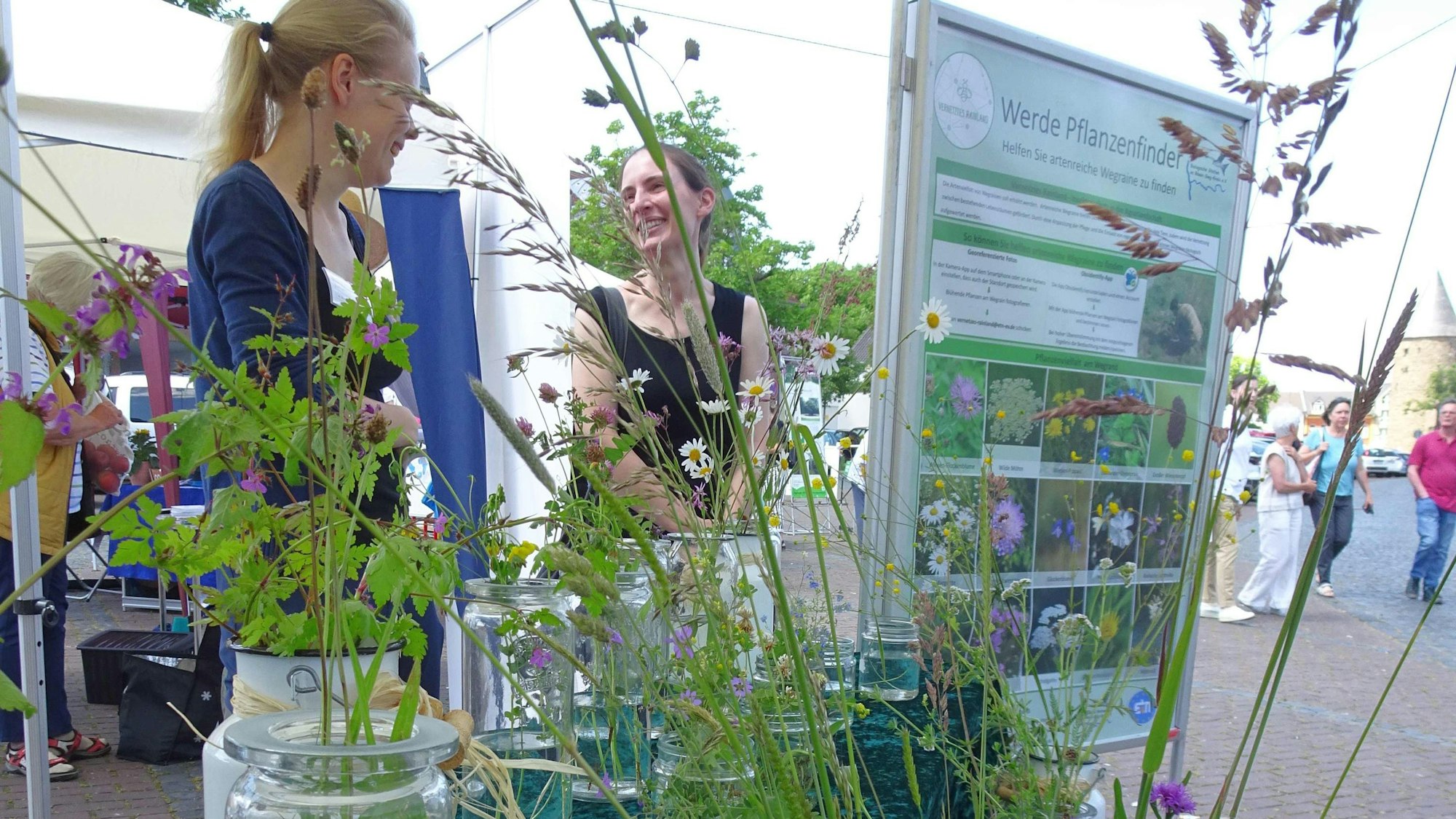 Stand der biologischen Station im Rhein-Sieg-Kreis beim interkommunalen Klimaforum in Rheinbach.
Projekt "Werde Pflanzenfinder": Helfen Sie, artenreiche Wegraine zu finden.