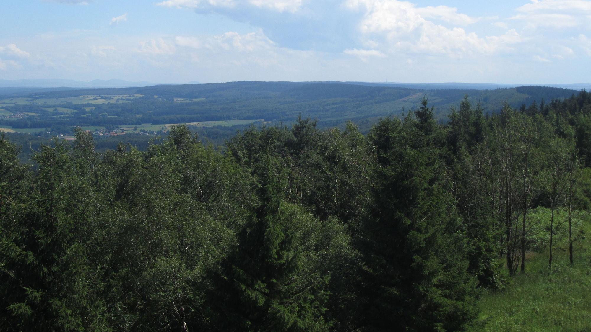 Naturpark Teutoburger Wald-Eggegebirge Blick vom Eggeturm