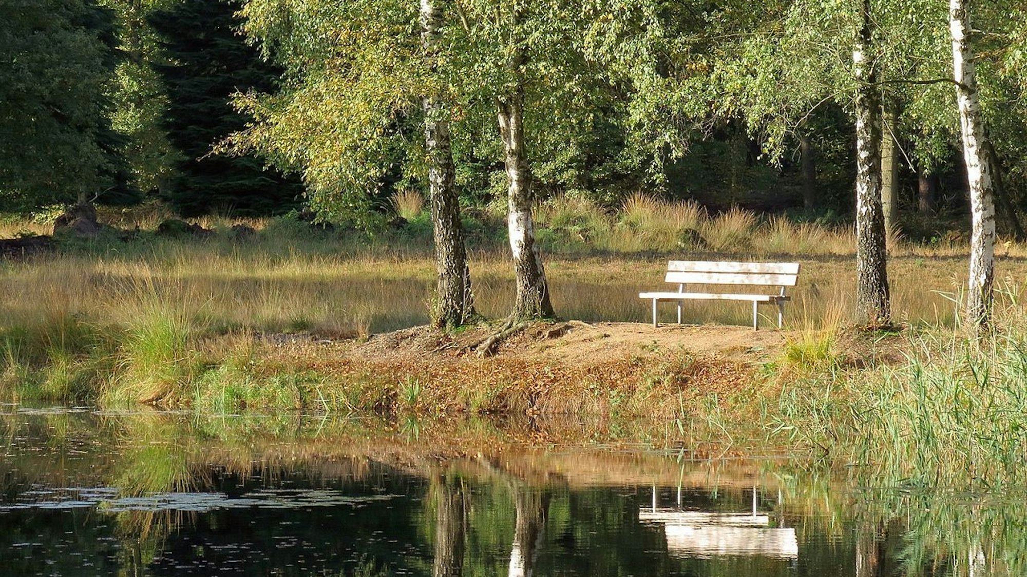 Naturpark Maas-Schwalm-Nette