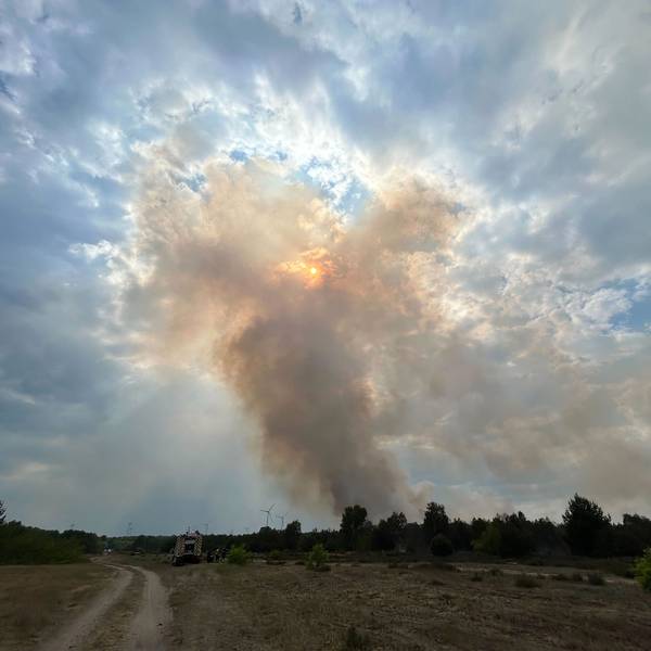 Rauch steigt aus einem Waldstück nahe Jüterbog in die Höhe und verdeckt die Sonne.