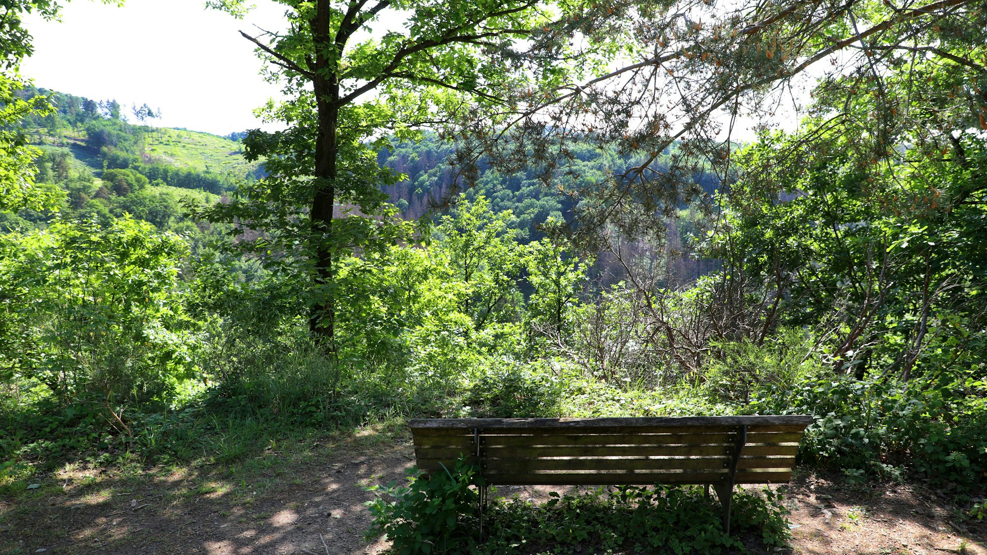 Bank zum Rasten auf einer Wanderung an der Sieg bei Windeck im Naturpark Bergisches Land