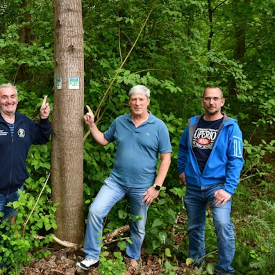 Beigeordneter Thomas Hambach (v.l.), Bergbaumuseumschef Günter Nießen, Eifelvereins-Wegewacht Michael Surbach und Constantin Hochgürtel vom Ordnungsamt an einem Baum mit einem Wanderwegweiser.