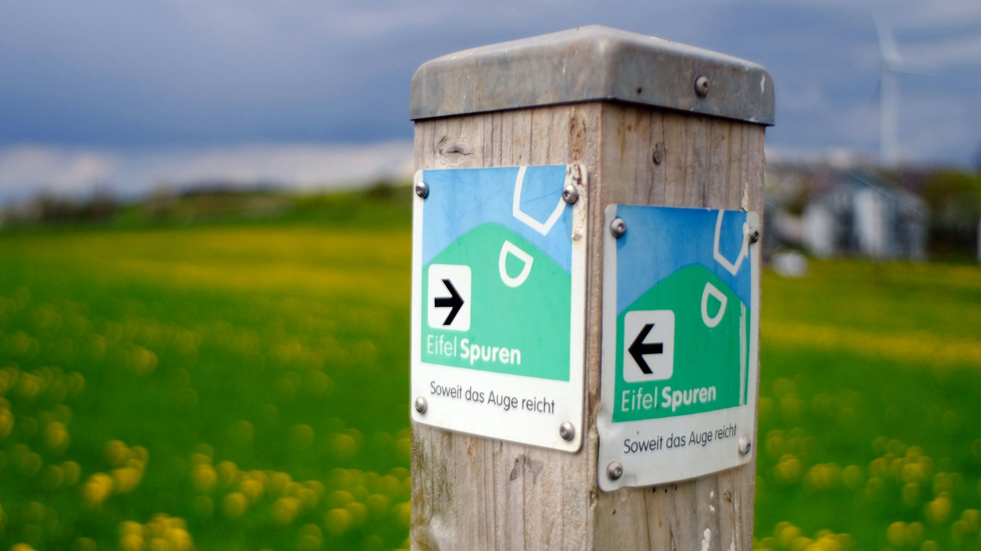 Ein Wegweiser der Eifelspur „Soweit das Auge reicht“ bei Mechernich-Lorbach. Im Hintergrund sind eine Wiese mit gelbem Löwenzahn und ein Windrad zu erahnen.