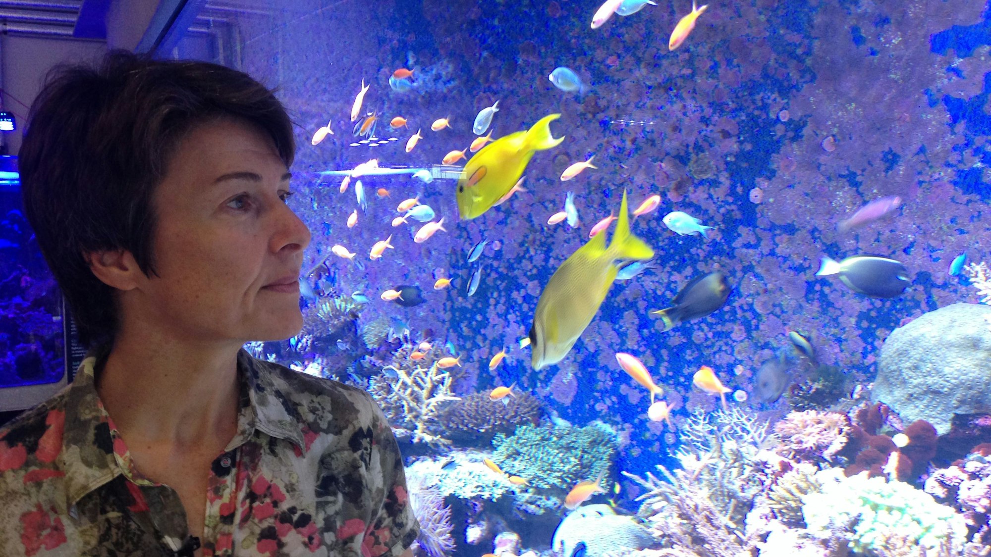 Forscherin Katharina Fabricius steht vor einem Aquarium mit bunten Fischen.