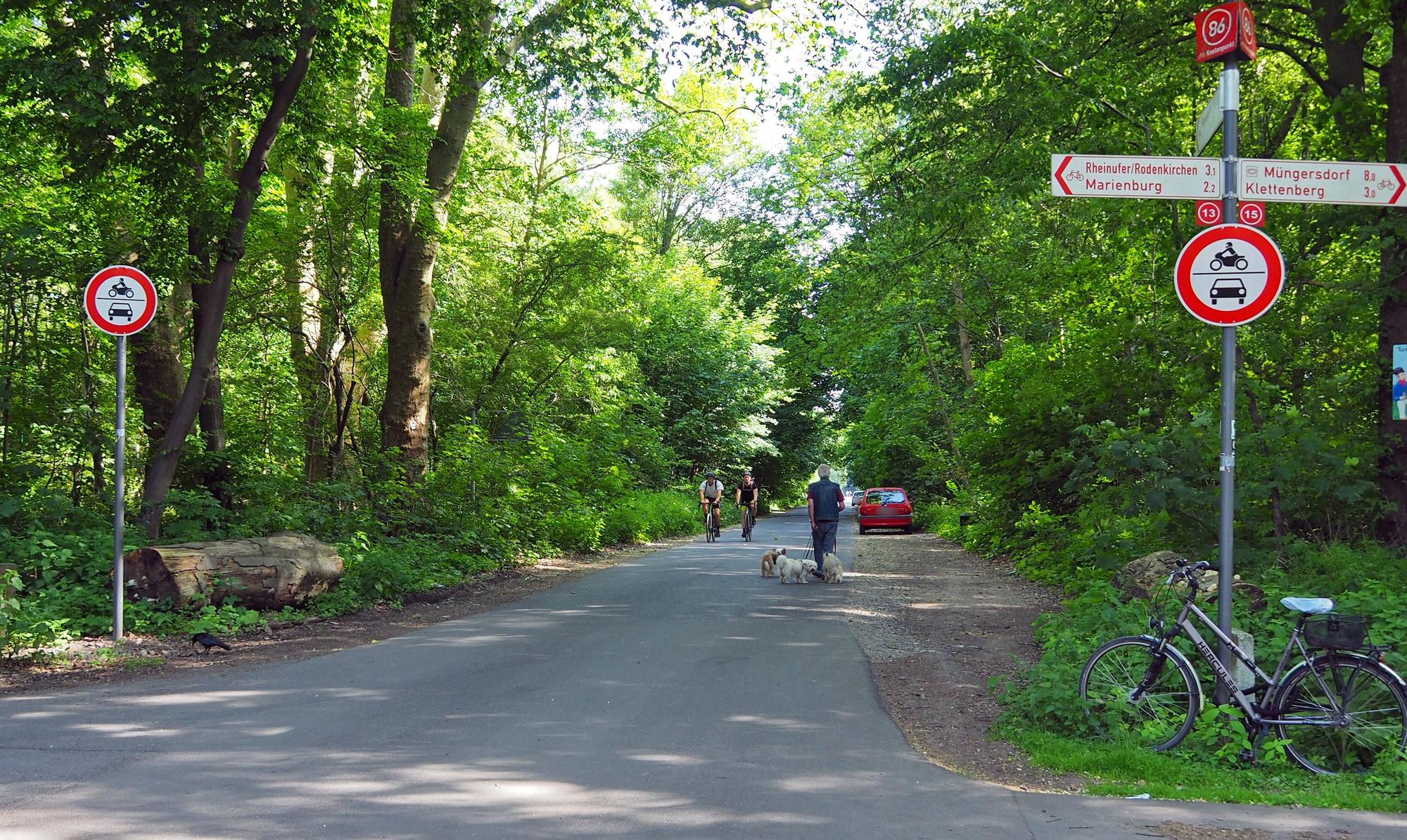 Auf dem Robinienweg spaziert Karl-Heinz Schneider mit drei Hunden. Rechts und links von der Straße sind die Durchfahrtsverbots-Schilder aufgestellt.