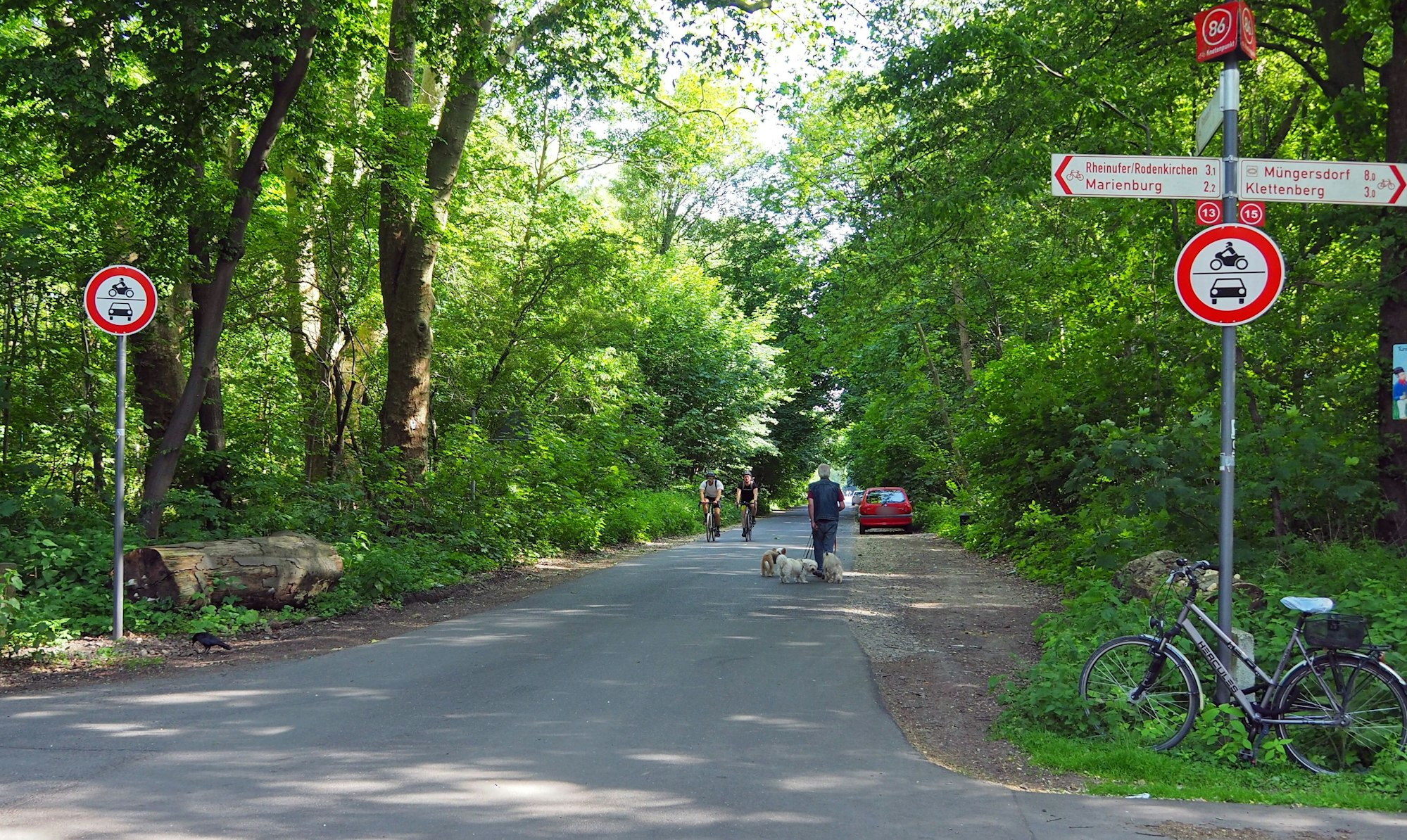 Auf dem Robinienweg spaziert Karl-Heinz Schneider mit drei Hunden. Rechts und links von der Straße sind die Durchfahrtsverbots-Schilder aufgestellt.