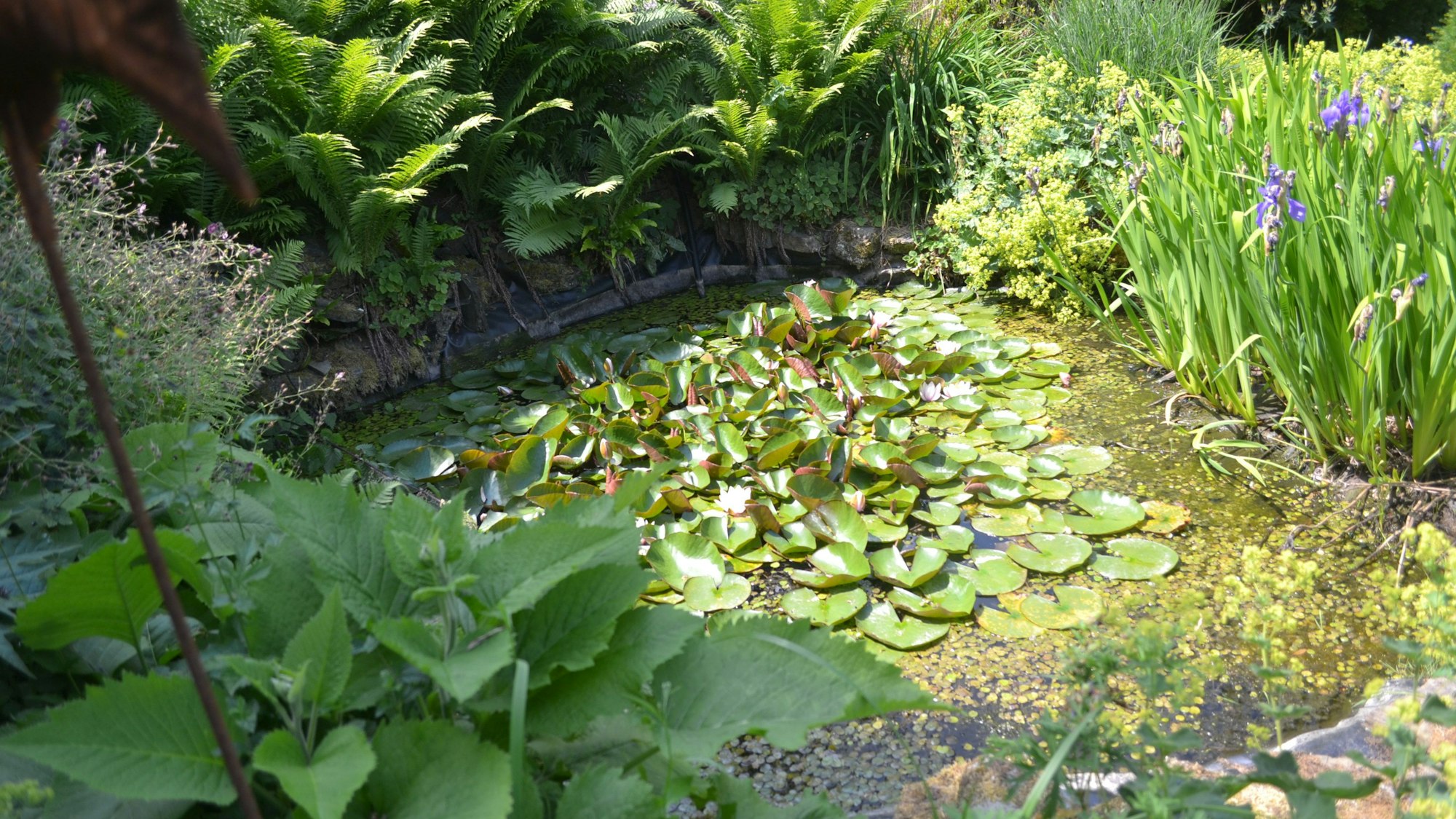 Gartentour durchs Bergische.