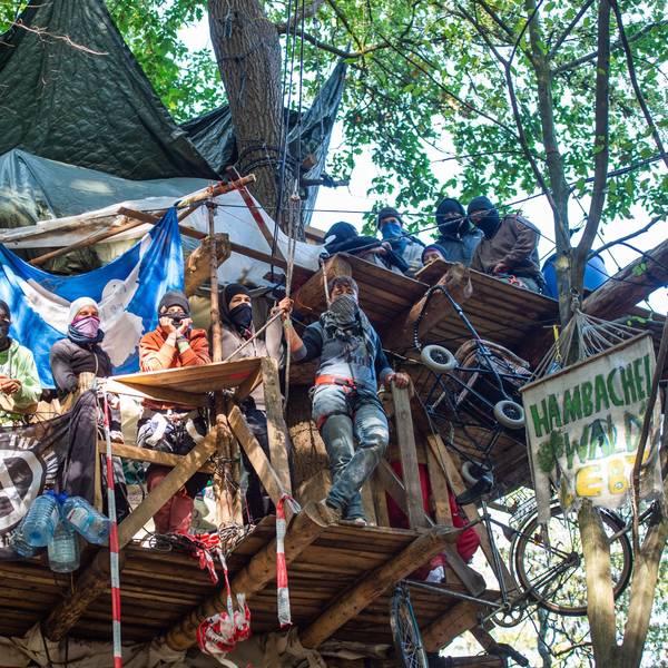 Nordrhein-Westfalen, Kerpen: Aktivisten stehen im Hambacher Forst auf einem Baumhaus.
