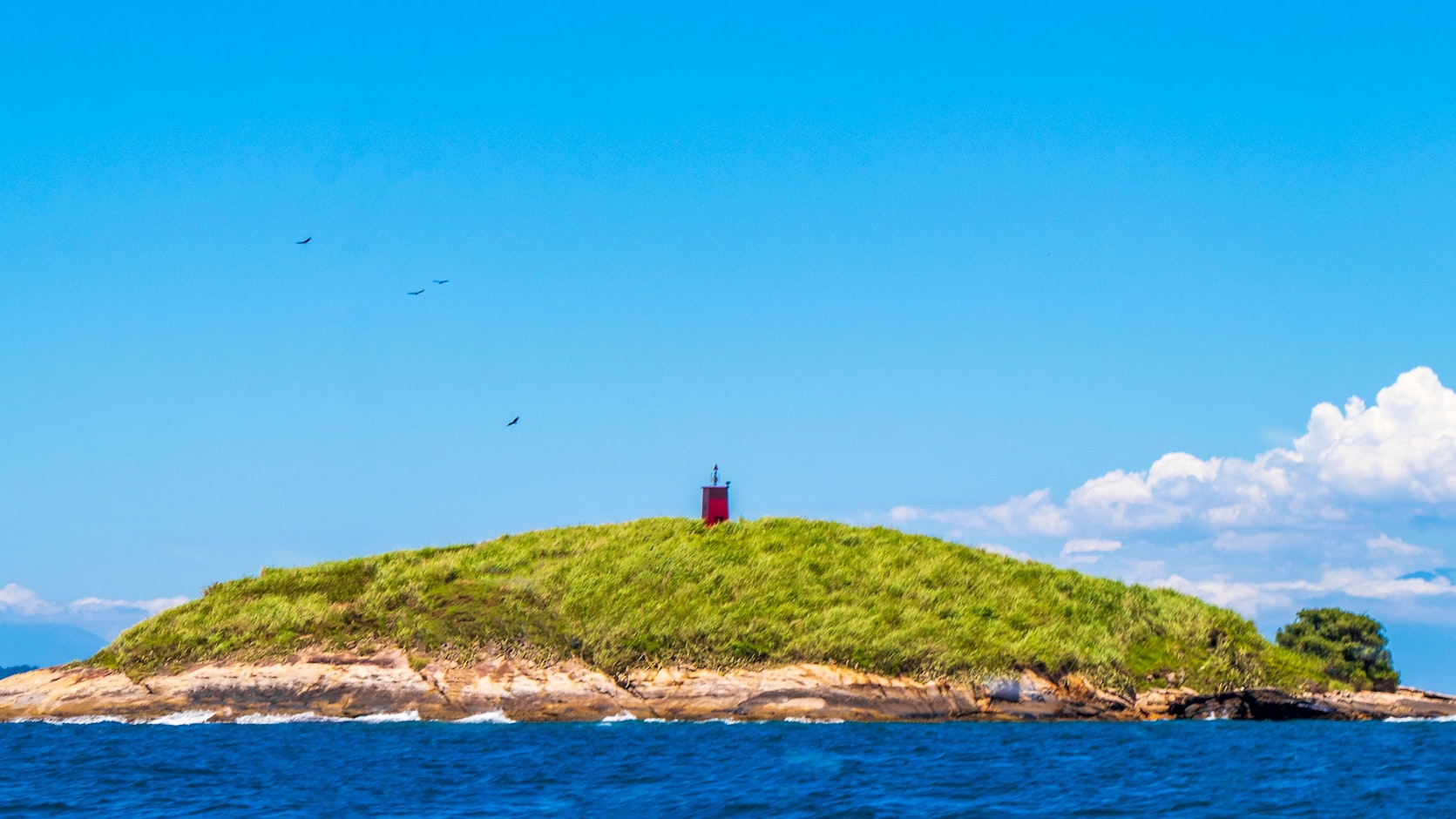 Ilha da Queimada Grande