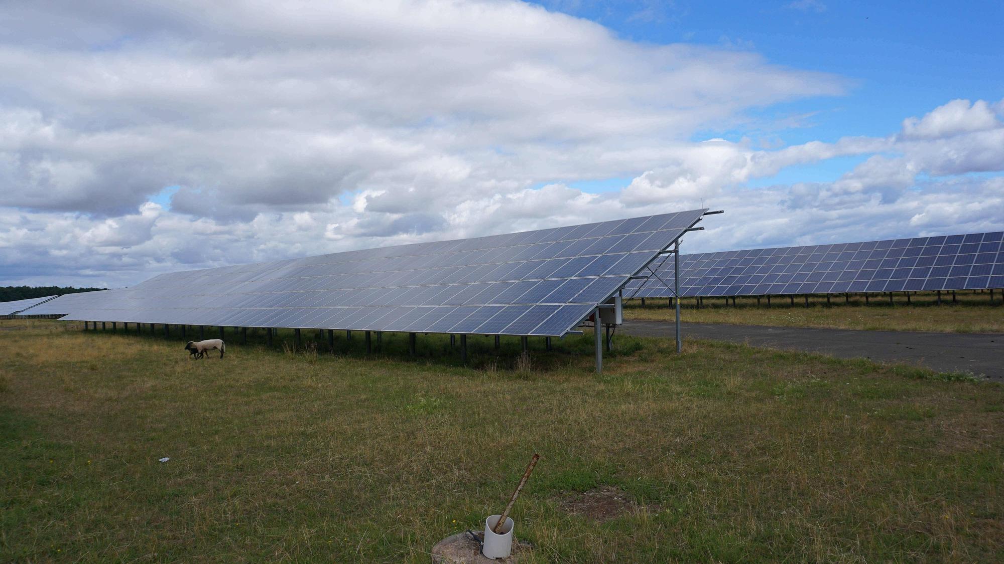 Kassel, Deutschland 27.07.2022: Solarpark Fuldatal-Rothwesten. Im Vordergrund sind Schafe zu sehen.