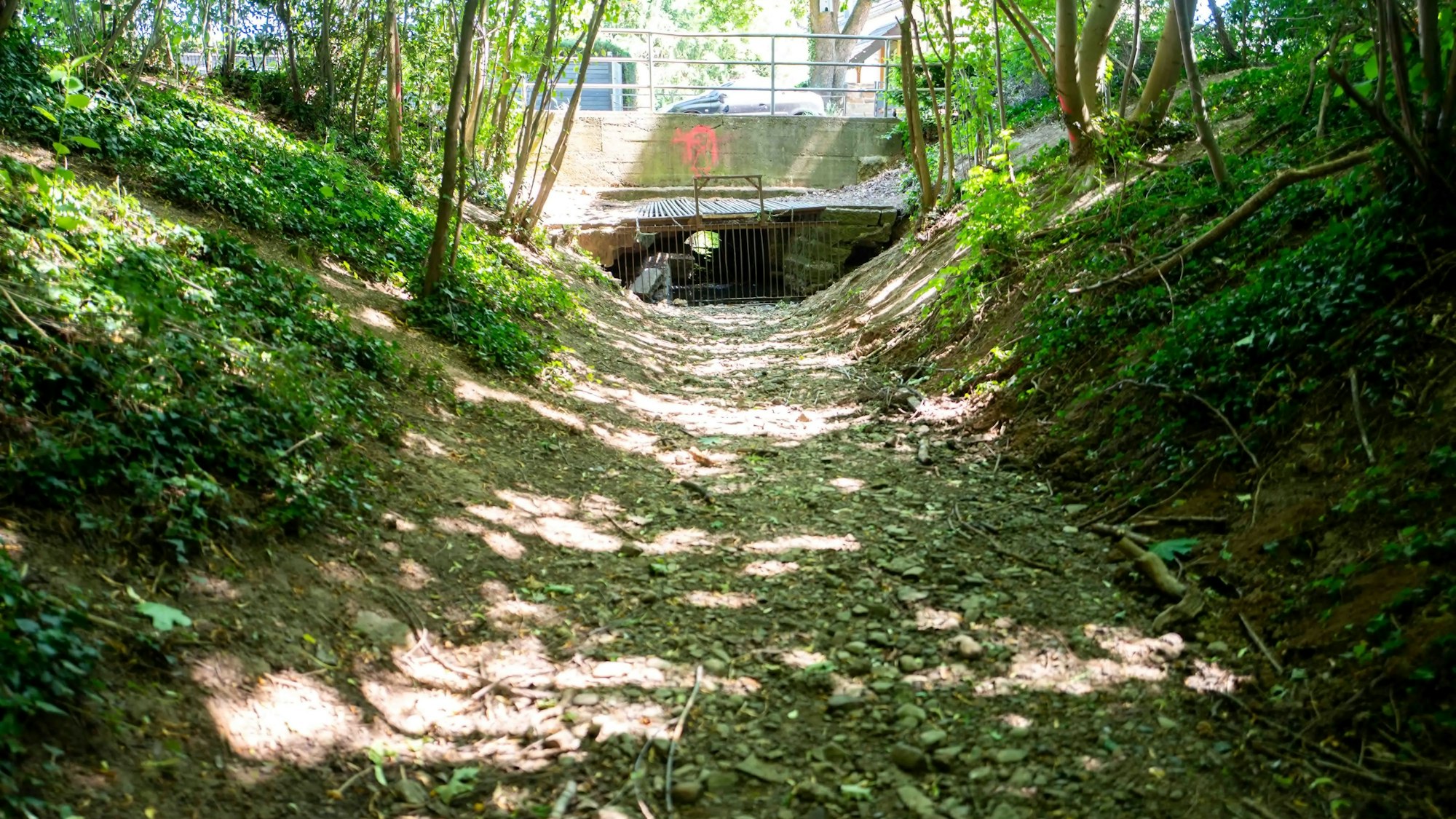 Das Bild zeigt den ausgetrockneten Mitbach in Euskirchen.