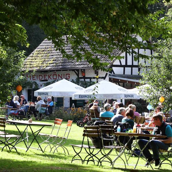 Menschen sitzen am Holztischen auf einer Wiese vor einem Fachwerkhaus