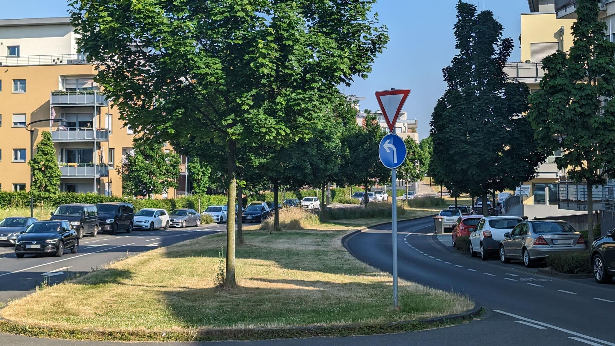 Ein Grünstreifen mit Bäumen zwischen zwei Fahrbahnen.