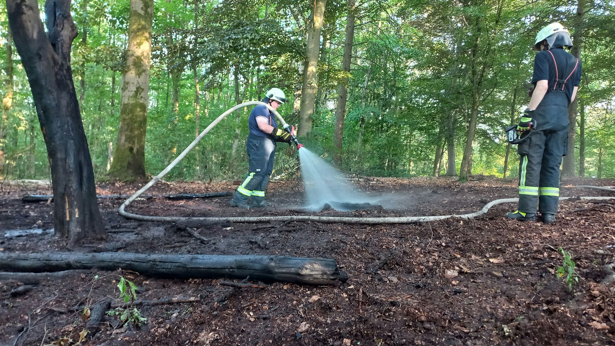 Zu sehen sind zwei Feuerwehrmänner bei der Bekämpfung eines Feuers im Unterholz.