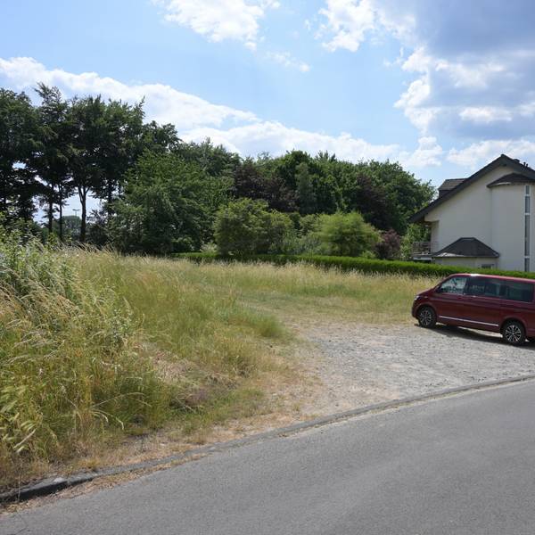 Man sieht ein Stück von der Wiese, davor am Straßenrand parkt ein Transit.
