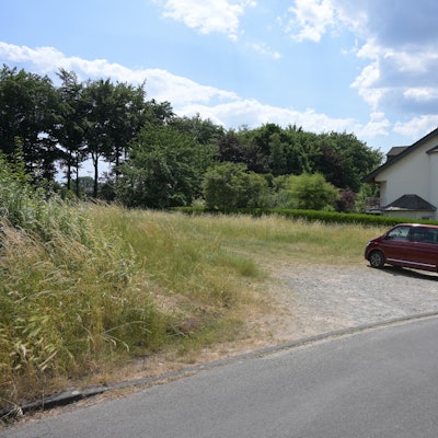 Man sieht ein Stück von der Wiese, davor am Straßenrand parkt ein Transit.