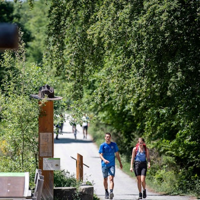 Das Bild zeigt Wanderer im Nationalpark Eifel.