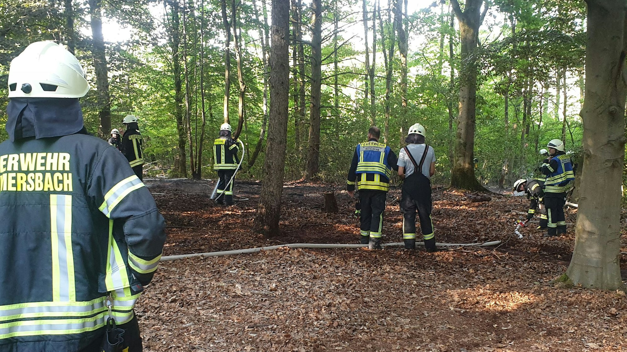 Zu sehen sind Feuerwehrleute in einem Waldstück.