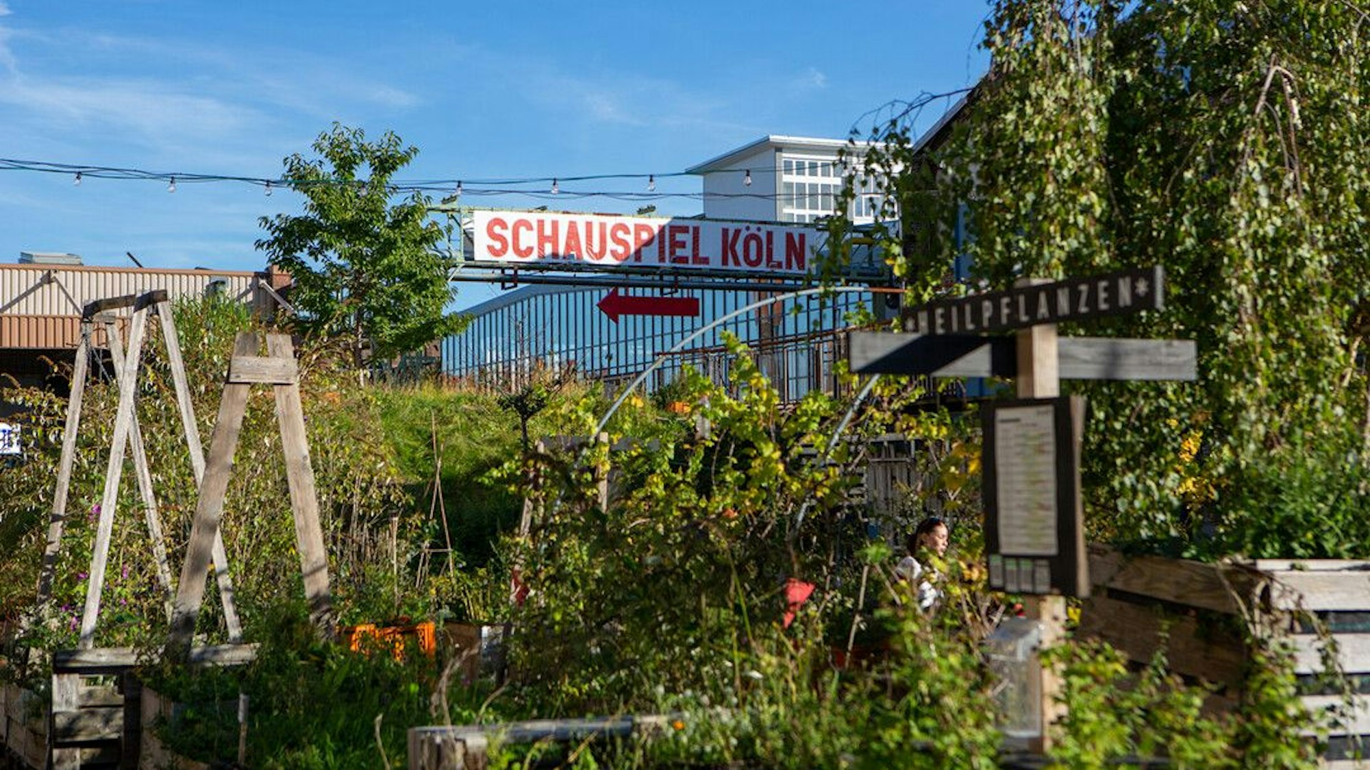 Im Depot soll der Fokus künftig auf Tanz liegen.