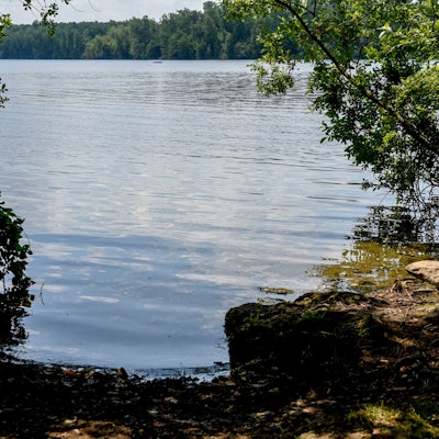 Ein mit Gebüsch umrandeter Ausschnitt des Bleibtreusees.