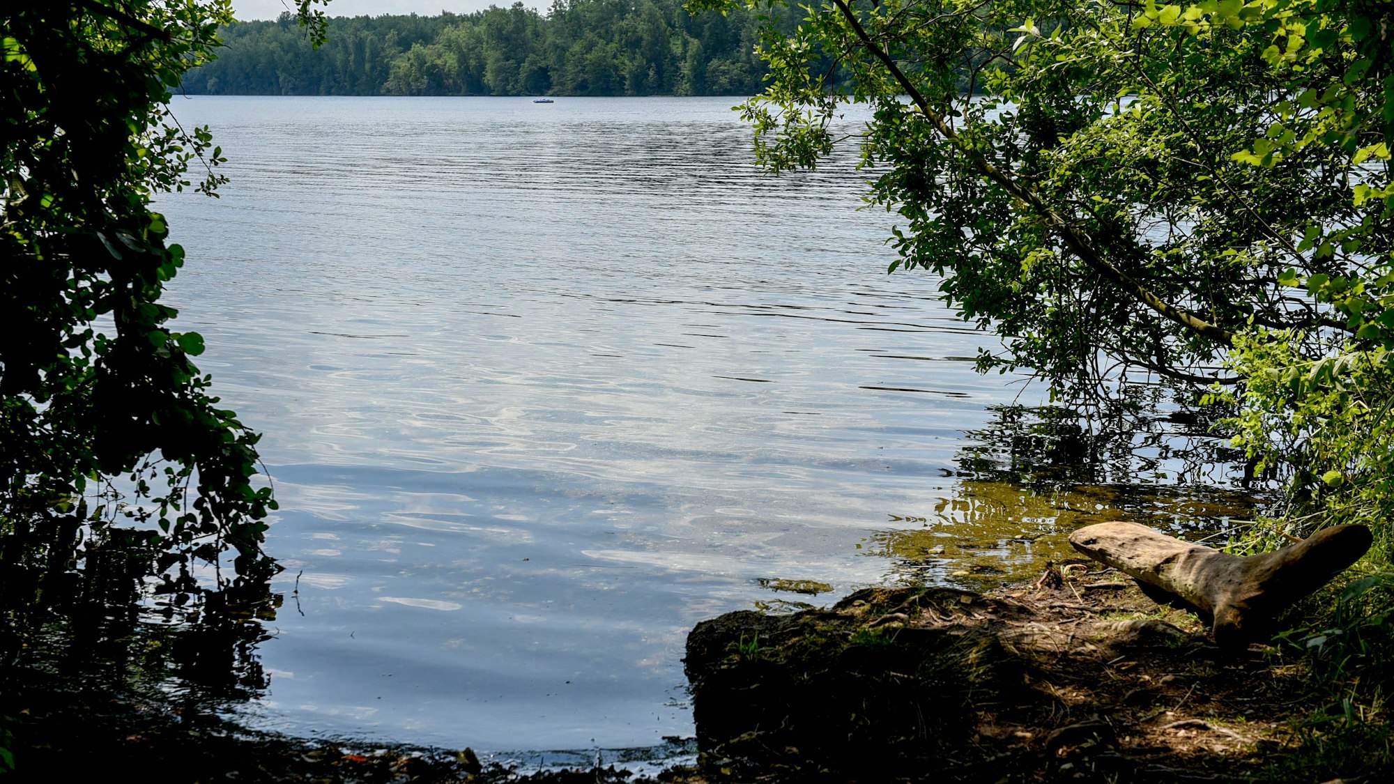 Auf dem Foto ist eine Bucht des Bleibtreusees zu sehen.
