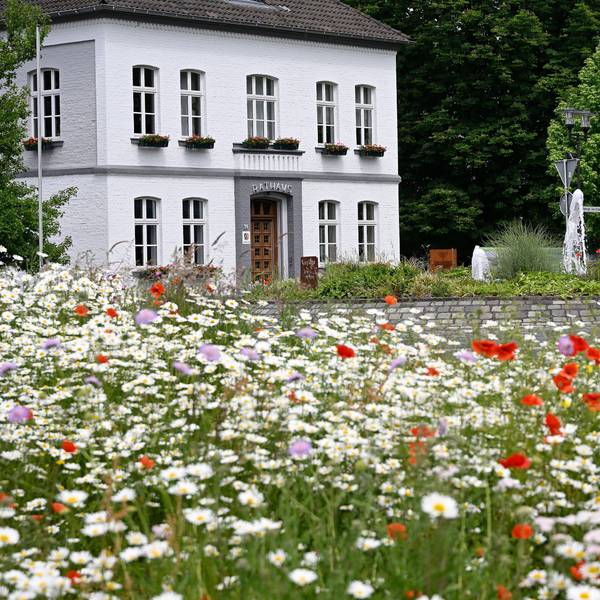 Das Rathaus in Odenthal.