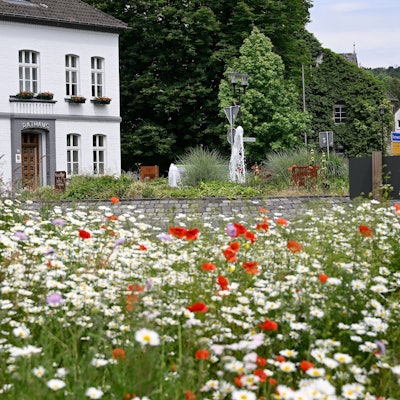 Das Rathaus in Odenthal.