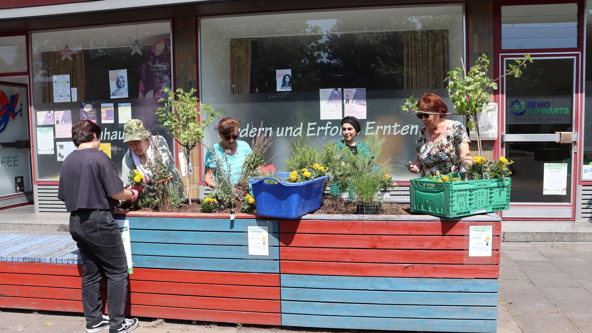 Fünf Frauen pflanzen Blumen und Beeren-Sträucher in rot-blaue Hochbeete.
