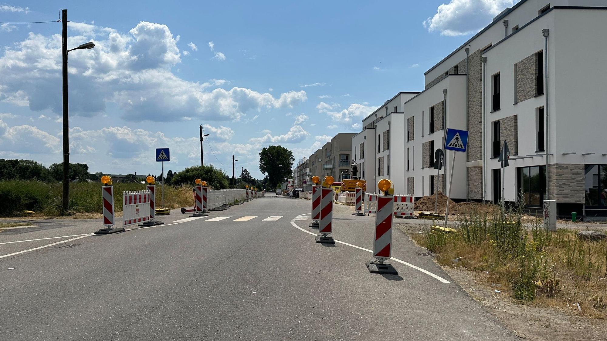 Bild der Allee bei gutem Wetter, rechts ein Neubaugebiet