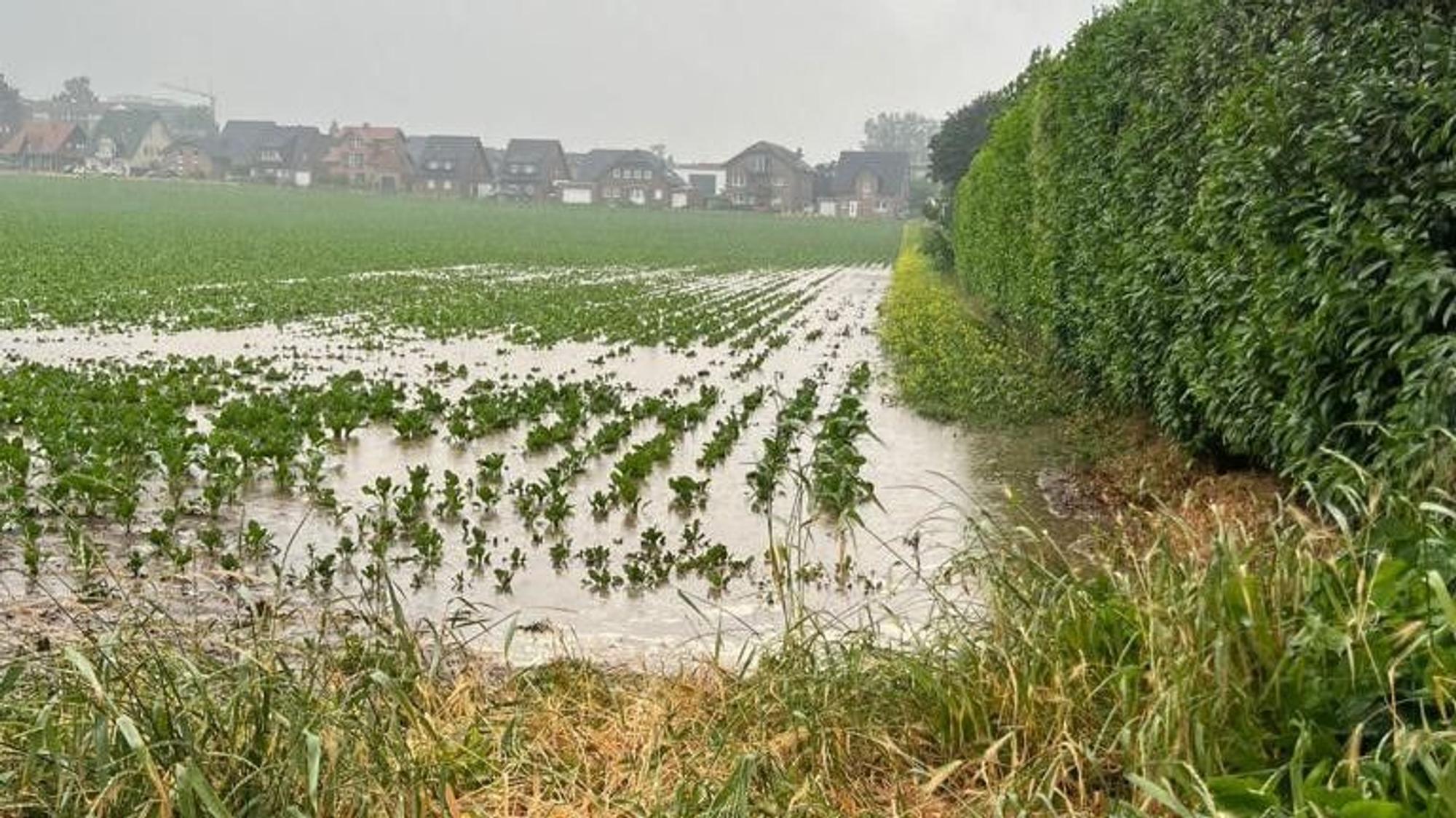 Das Foto zeigt ein Feld, auf dem das Wasser steht.