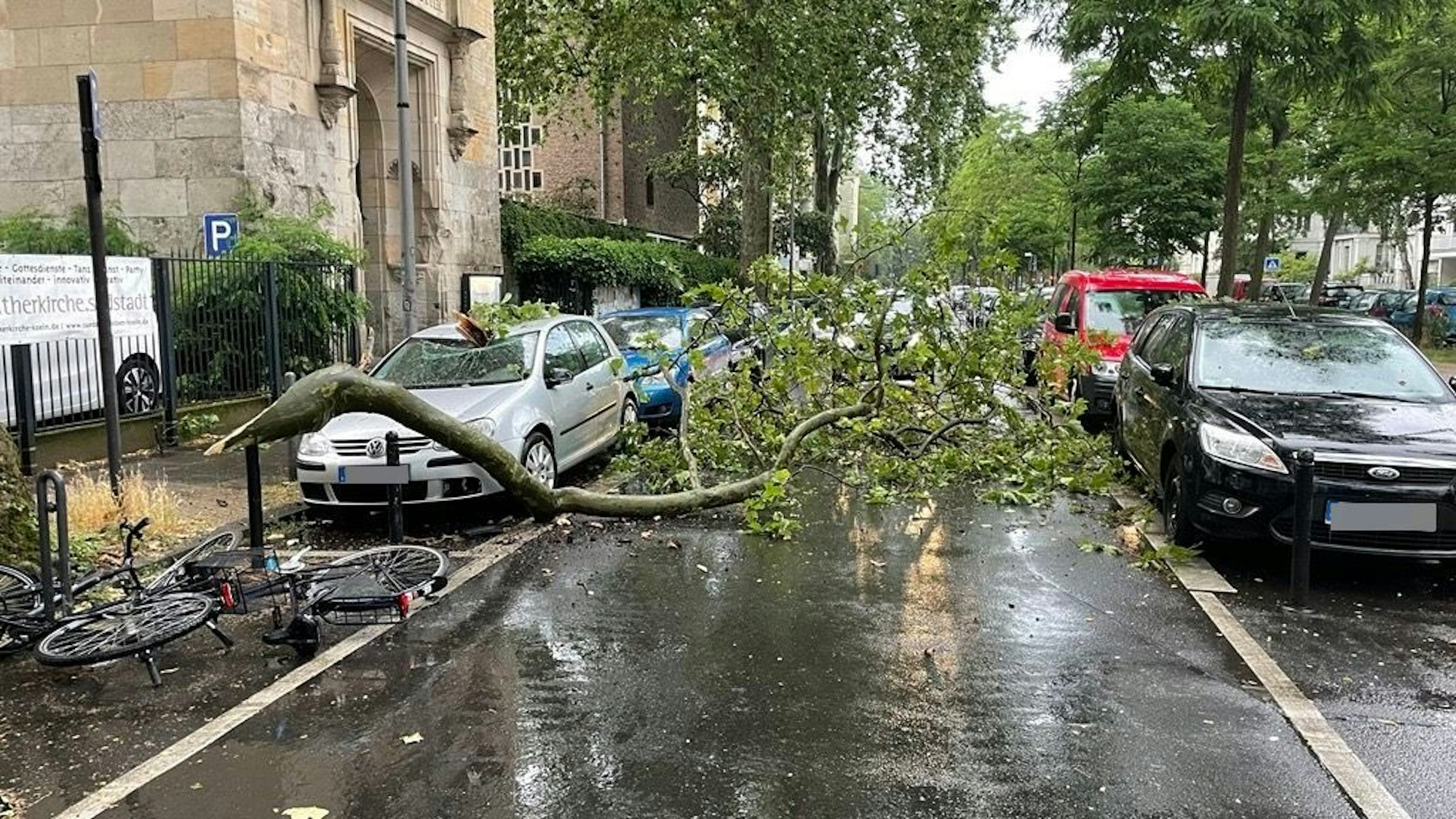 Ein abgebrochener Ast eines Baums an der Lutherkirche in der Kölner Südstadt