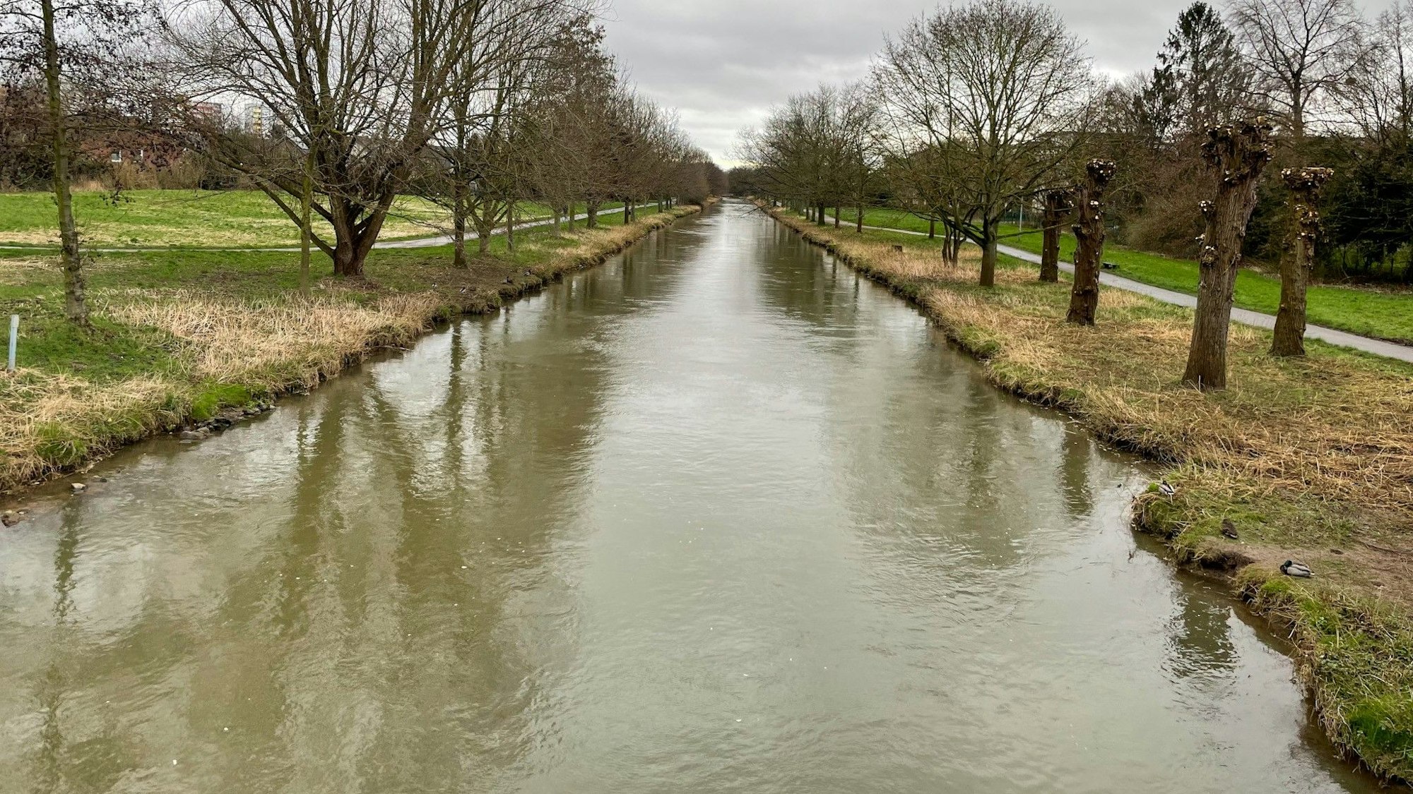 Das Bild zeigt die Erft bei Bergheim.