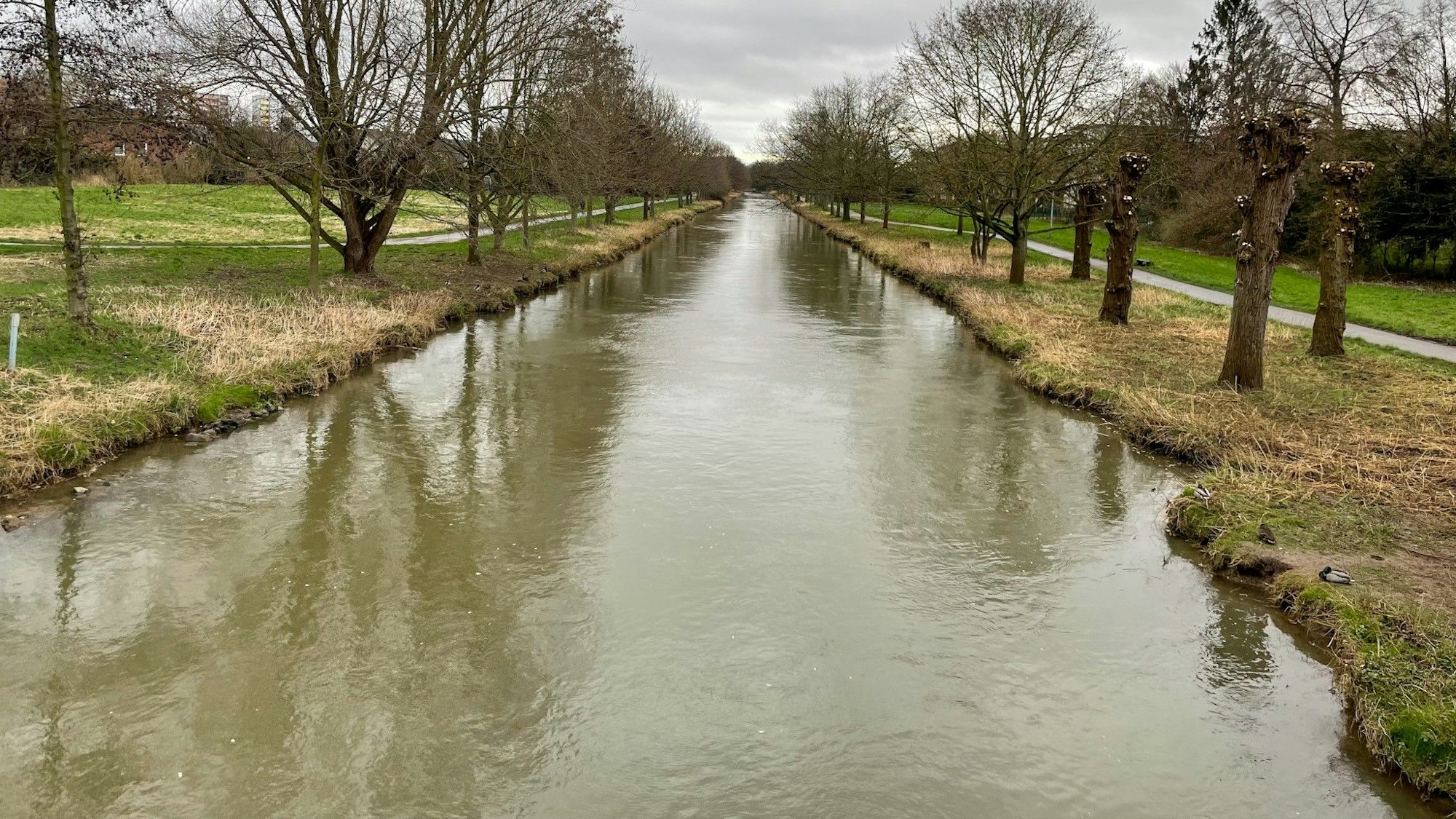 Die Erft an der Gutenberg-Straße in Bergheim.