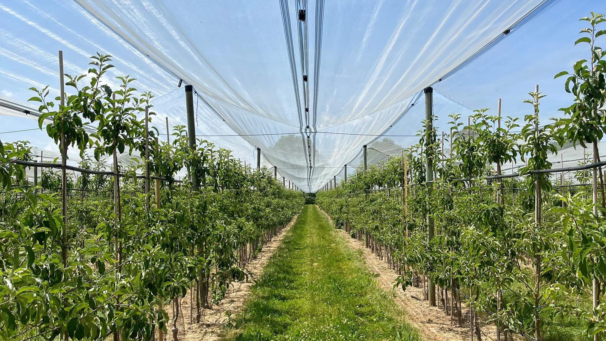 Meckenheim Ersdorf
Wasserreservoir für die Landwirtschaft
Wasser- und Bodenverband Ersdorf-Meckenheim
Hagelnetz