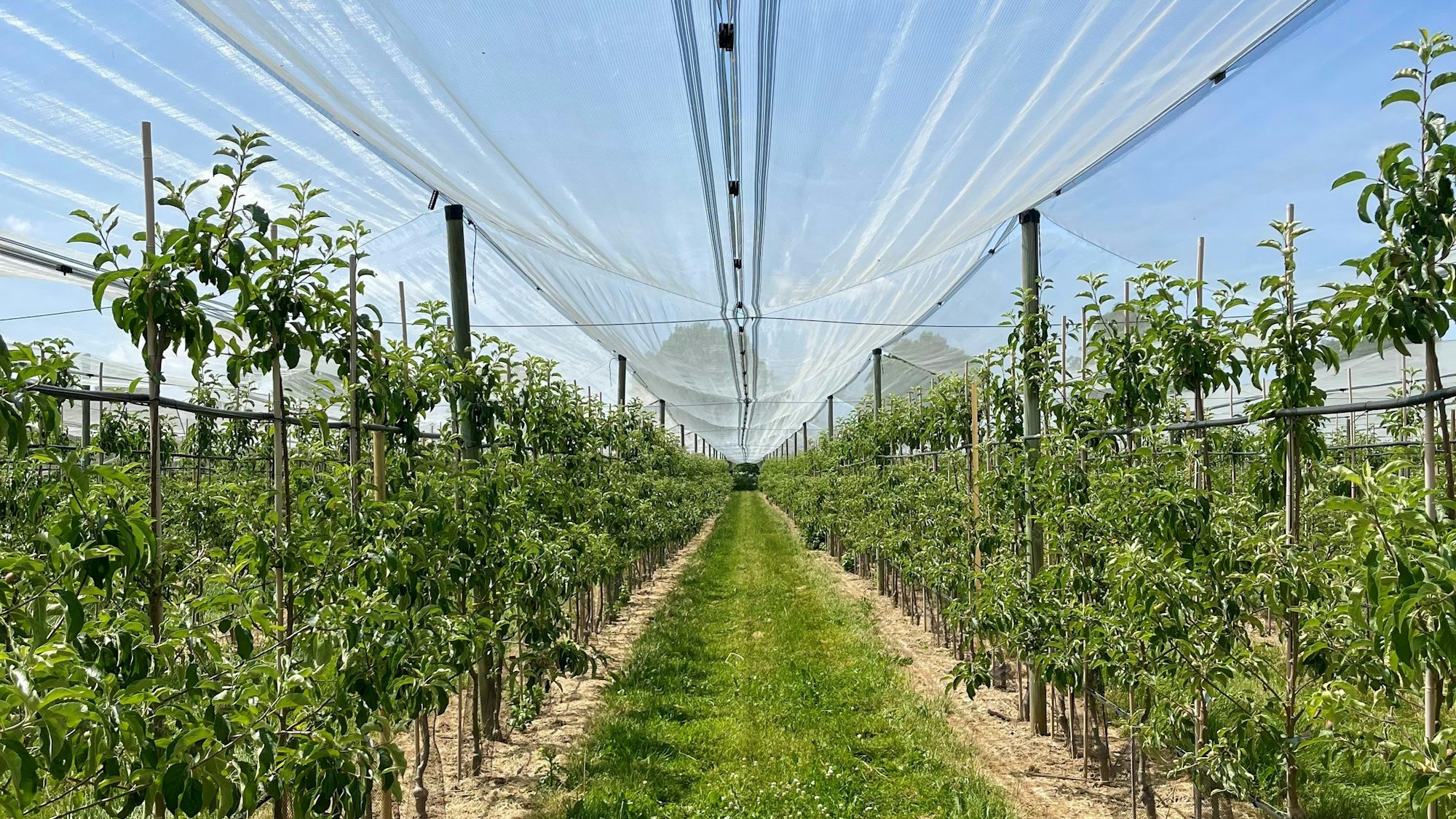 Meckenheim Ersdorf
Wasserreservoir für die Landwirtschaft
Wasser- und Bodenverband Ersdorf-Meckenheim
Hagelnetz
