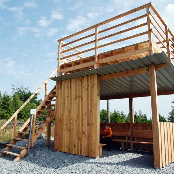 Das Bild zeigt eine Holzhütte, deren Flachdach über eine Treppe bestiegen werden kann.