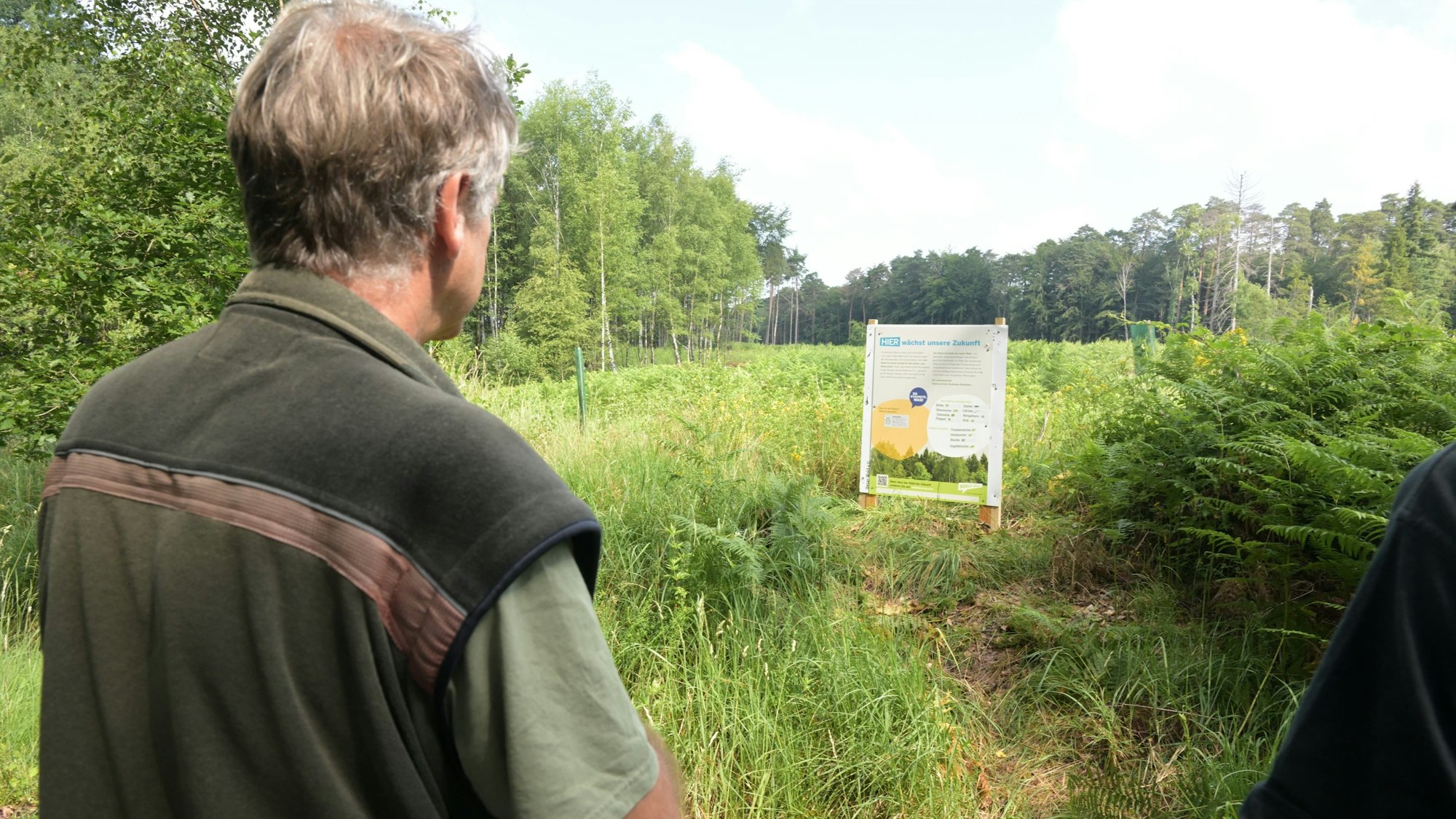 Revierleiter Jürgen Greißner erklärt die Aufforstungen.