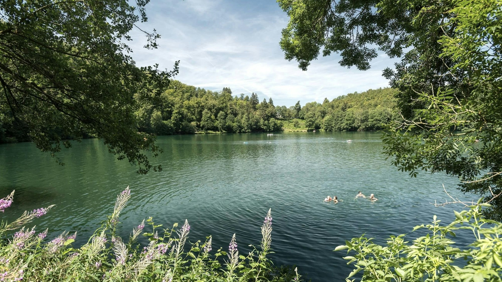 Schwimmen im Maar in der Eifel: Gemündener Maar