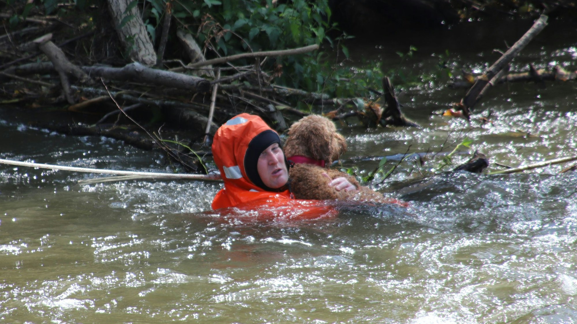 Die Freiwillige Feuerwehr rettete eine Mutter, ihre Tochter und den Hund der Familie aus der Agger. Sie hatten sich an einem Gestrüpp festgeklammert.