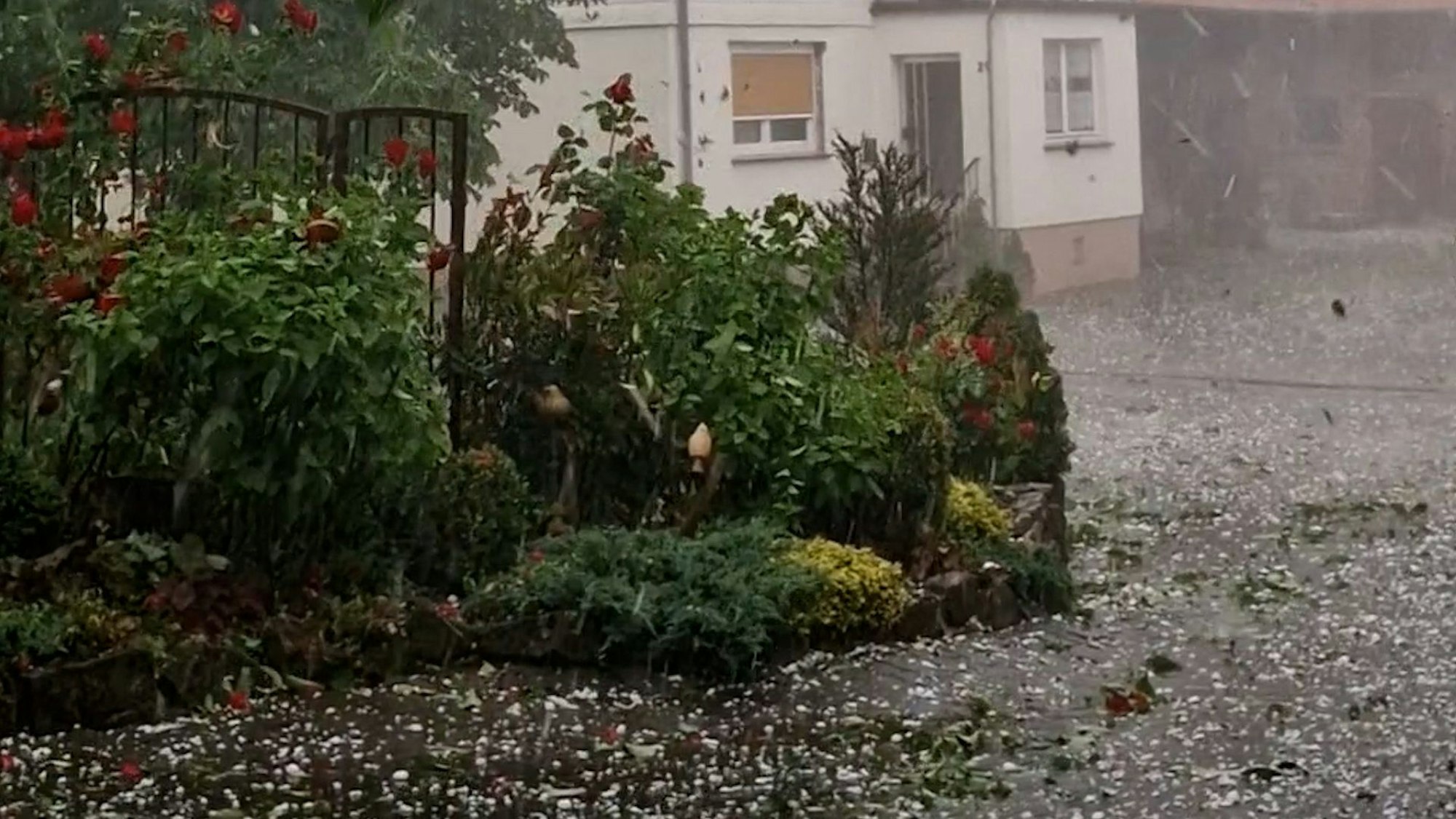 Hagel prasselt bei einem Unwetter in der Nähe von Kassel auf einen Bauernhof, Blätter fliegen durch die Luft.