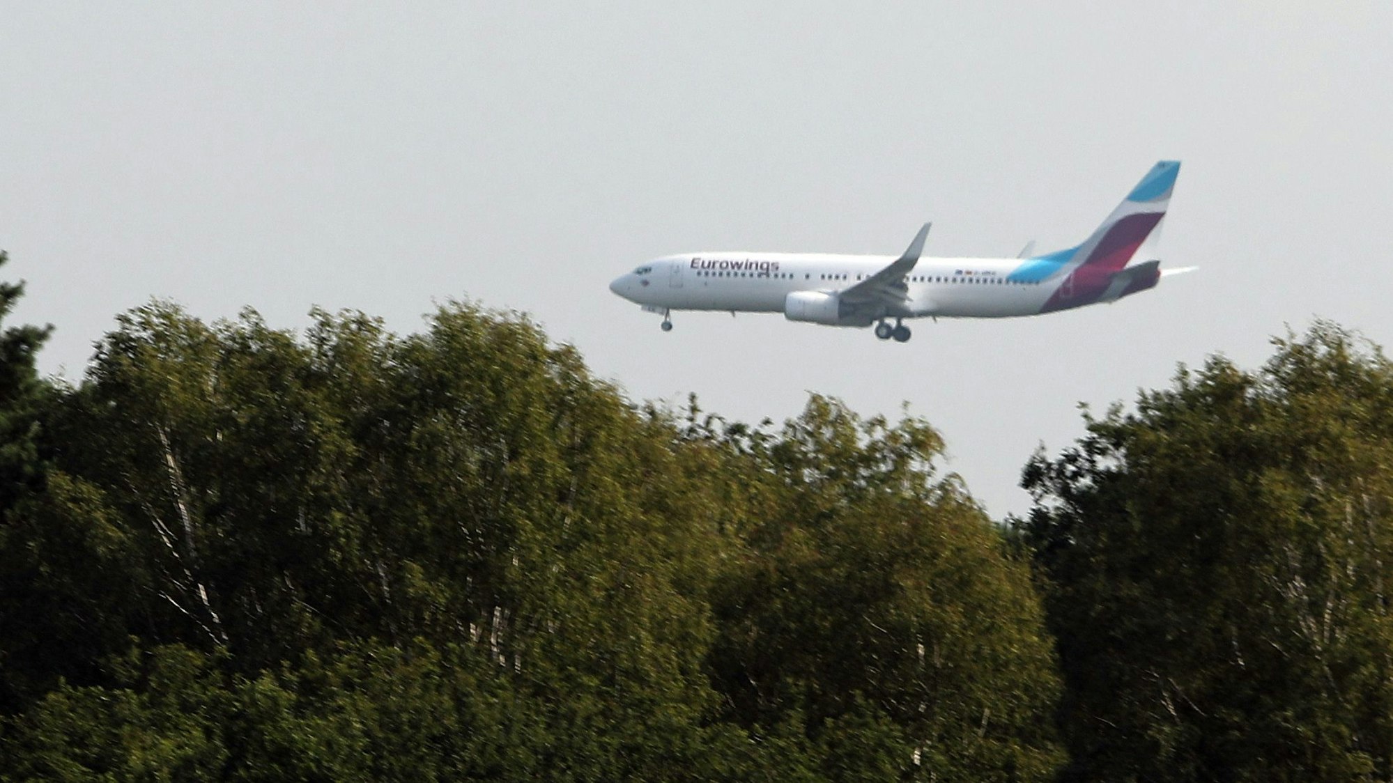 Ein Flugzeug fliegt über Bäume.