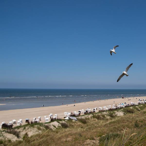 21.06.2023, Niedersachsen, Spiekeroog: Möwen fliegen bei sonnigem Wetter über den Strand in Spiekeroog.