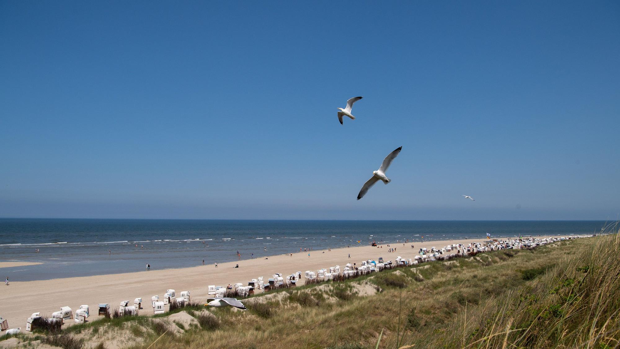 21.06.2023, Niedersachsen, Spiekeroog: Möwen fliegen bei sonnigem Wetter über den Strand in Spiekeroog.