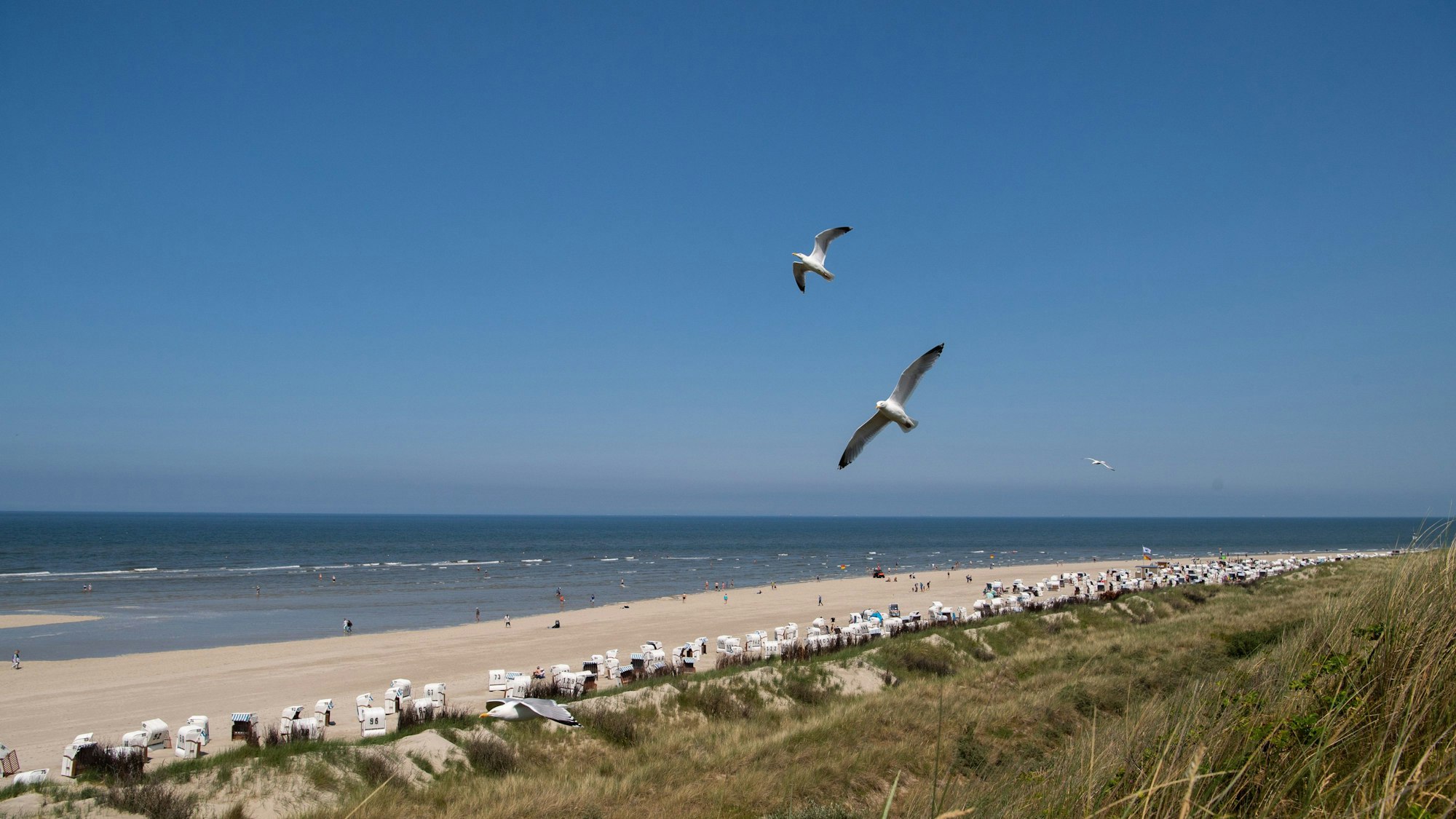 21.06.2023, Niedersachsen, Spiekeroog: Möwen fliegen bei sonnigem Wetter über den Strand in Spiekeroog.