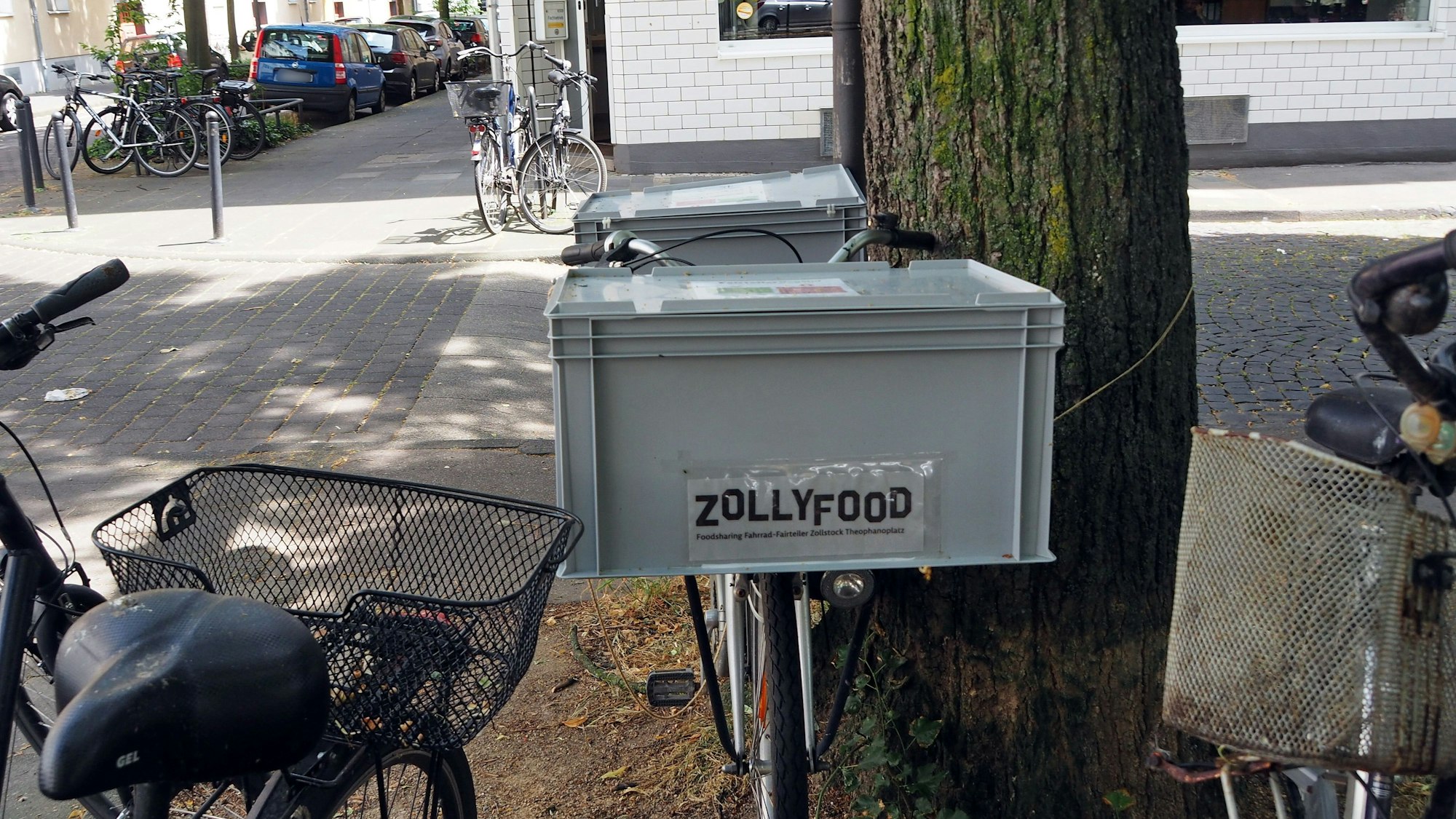 Ein Fahrrad mit zwei Plastikboxen am Lenker und Gepäckträger steht an einen Baum gelehnt.